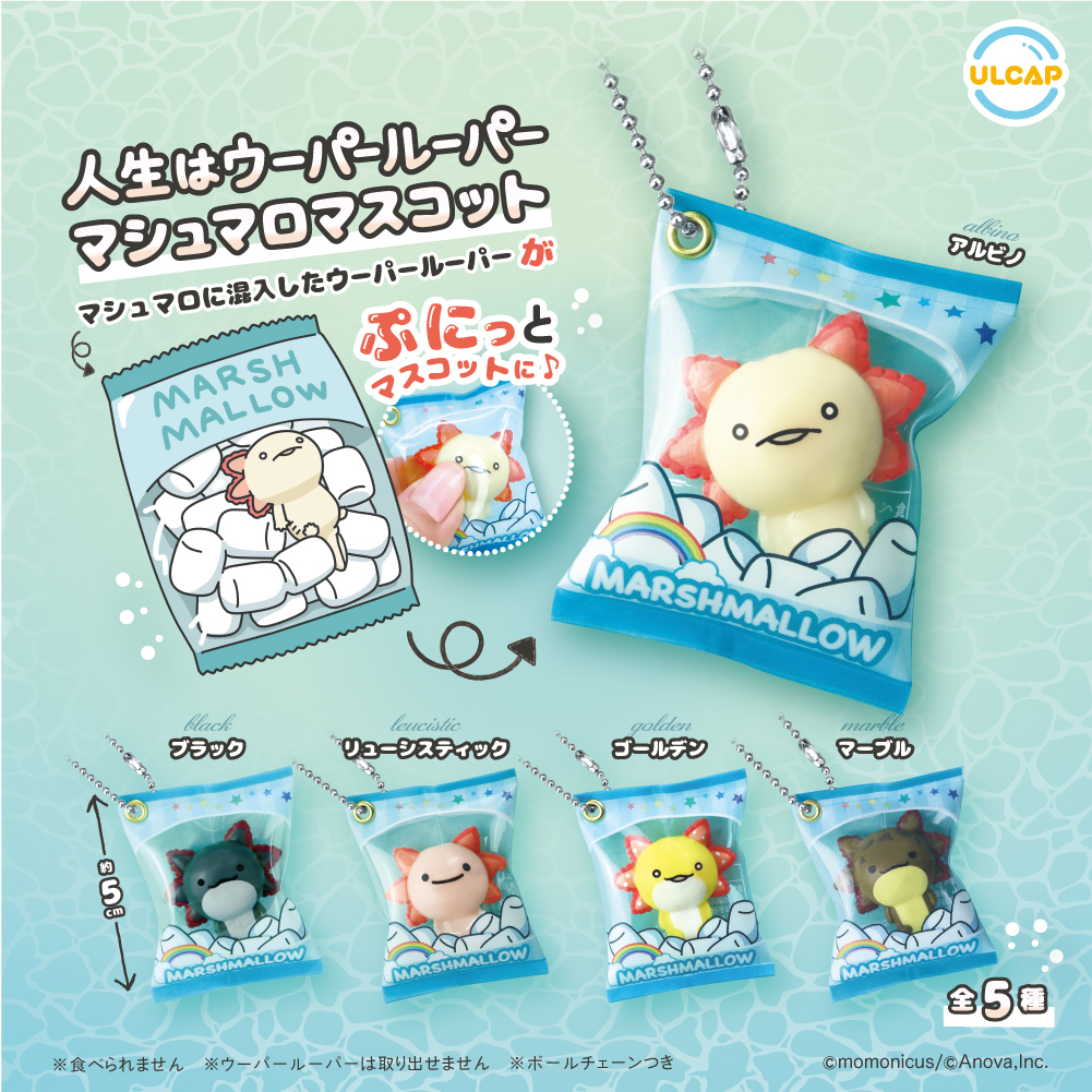 ウーパールーパー苺マシュマロ♡ 疎遠
