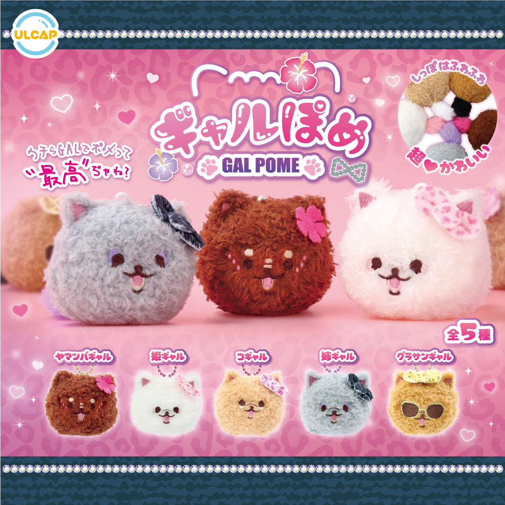 ギャルぽめ